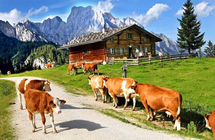 Haus Hohenwarter Lofer Bagian luar foto