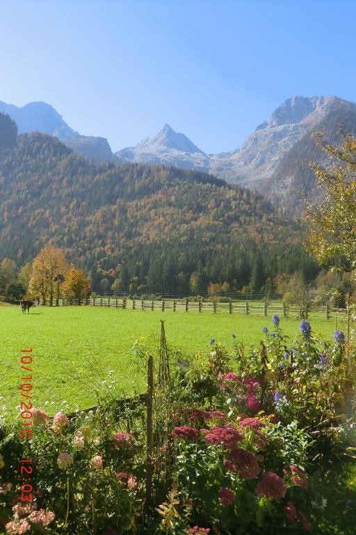 Haus Hohenwarter Lofer Ruang foto