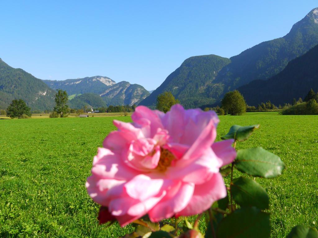 Haus Hohenwarter Lofer Ruang foto
